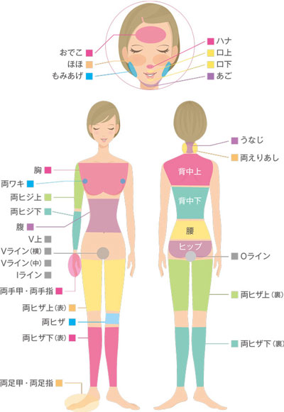 脱毛部位図